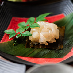 白エビ昆布締め