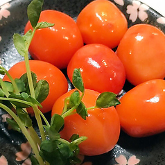 親もも/親むね/親ささみ/親ずり/親心臓/きんかん/親かわ/親テール/親せせり