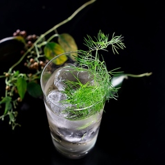 草木香るハイボール