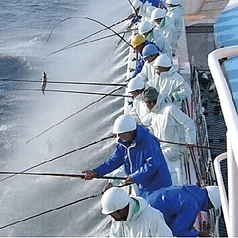 産地直送！！鮮度抜群獲れたて鮮魚をお届けします！