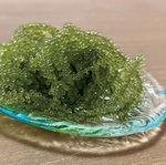 定番かつ大人気のプチプチ海ぶどうです！