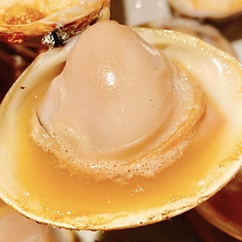 【わんこ焼はまぐり】と日本の旬を楽しむ【和食居酒屋】駅近/半個室/飲み放題