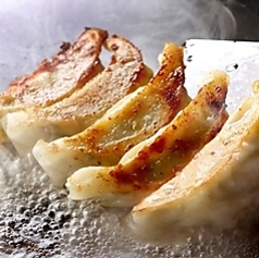 自家製焼き餃子