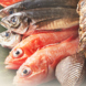 豊洲で仕入れる旬の魚・自家栽培の100％無農薬野菜
