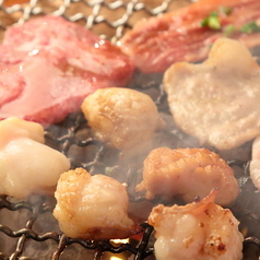 朱々 長岡京のコース写真