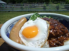 ロコモコ丼