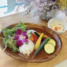 【限定５食】夏野菜カレー