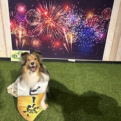 室内型DOG RUN & CAFE「DOPA」定禅寺のおすすめポイント1