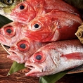 高級魚の『のどぐろ』や旬のお料理とお酒が楽しめる。有田焼や織部焼などのこだわりの和食器が、お料理を一層引き立てる花びしのコース料理。選び抜いた厳選素材で創り上げる、花びしのこだわりが詰まった逸品をごゆっくりご堪能くださいませ。その他、伝統的な製法と職人技が光る「ふわふわ海老真丈」などもご用意。