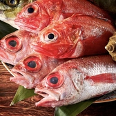 高級魚の『のどぐろ』や旬のお料理とお酒が楽しめる。有田焼や織部焼などのこだわりの和食器が、お料理を一層引き立てる花びしのコース料理。選び抜いた厳選素材で創り上げる、花びしのこだわりが詰まった逸品をごゆっくりご堪能くださいませ。その他、伝統的な製法と職人技が光る「ふわふわ海老真丈」などもご用意。