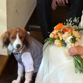 レストランパリンカの雰囲気3