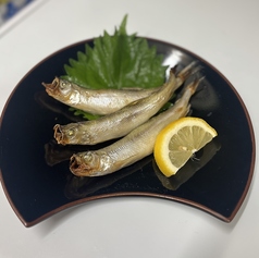 ししゃも 1本 (北海道産)