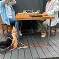 テラスはペット可です！そよ風が心地よい秋口は絶好のお席！
