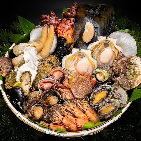 ���Ⴎ���Ⴎ�T��