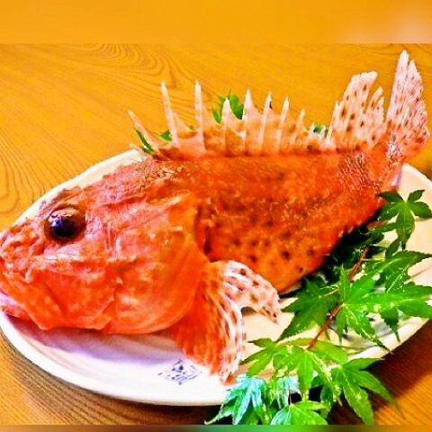 おかもと 和歌山 和食 のメニュー ホットペッパーグルメ