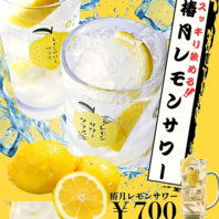 椿月レモンスカッシュ(ノンアルコール)/椿レモンサワー