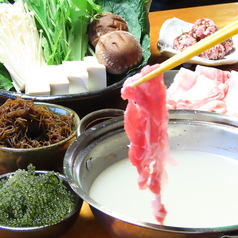 ハブとマングース 高知店特集写真1