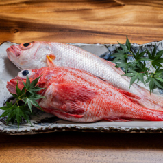 しげろうの写真2