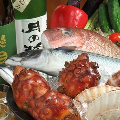 ごち 盛岡特集写真1