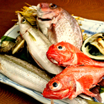 仙台近郊の石巻や気仙沼、塩釜を中心に漁港直送の鮮魚を豊富に取り揃えています。