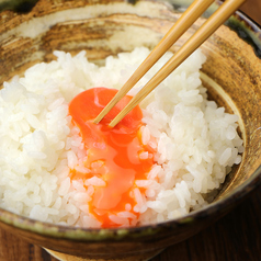 鶏っくの卵かけご飯