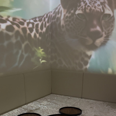 Grill & Cafe FOR SEASONの雰囲気3