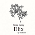 Spice curry Elix スパイスカレー エリックスのロゴ