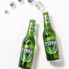 TERRA（韓国ビール）