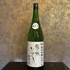 東洋美人 直汲み ふなたれ