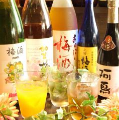 50種以上の梅酒をご用意!!