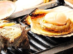 漁師料理かさいのコース写真