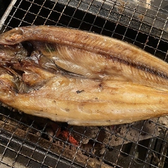 ホッケ