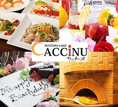 TRATTORIA e BAR CACCiNU カッチーヌイメージ