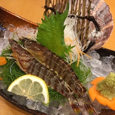 だんまや水産 秋田大町店 秋田駅 居酒屋 ネット予約可 ホットペッパーグルメ