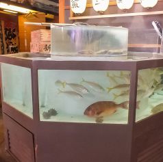 新鮮なお魚を安く、そして美味しく！