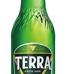 TERRA ビール(瓶) 330ml
