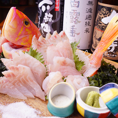 和み家 魚えんの特集写真