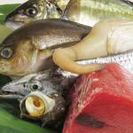 居酒屋1484 いしばし