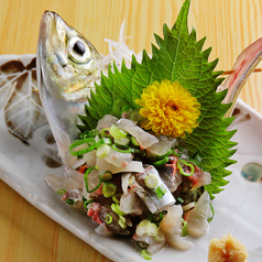 menu photo