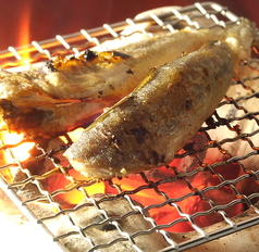 こまい（氷下魚）炙り焼き