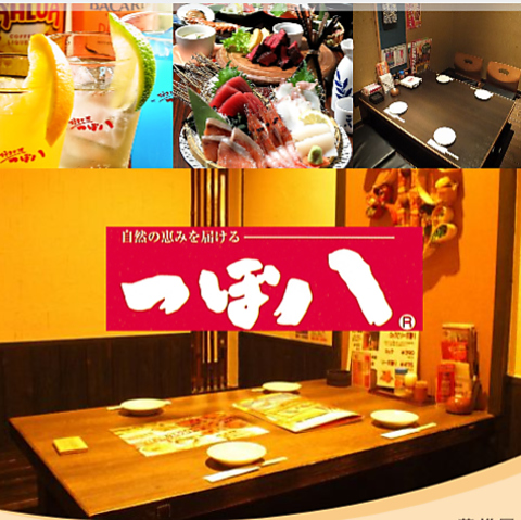 個室充実のつぼ八！石畳を進むおもてなしは玄関から◎美味しい料理をご提供いたします