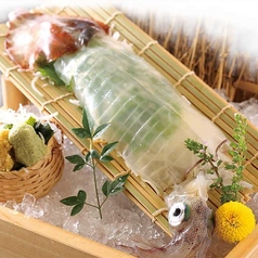 佐賀・呼子直送！海の宝石、イカの極み！の写真