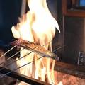 料理メニュー写真&nbsp;藁炙り 鰹のたたき