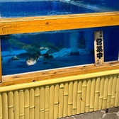 兼平鮮魚店 中洲川端店の雰囲気3