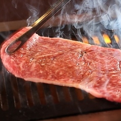 焼肉ホルモン ボンズ 赤坂本店の写真