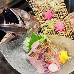 輝きらりのコース写真