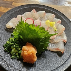 活〆真鯛の薄造り