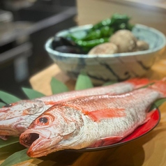 毎日!新鮮な鮮魚とお野菜をとり揃えております!