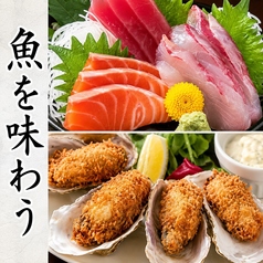 魚馬る 有楽町店のコース写真