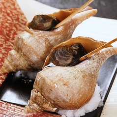 つぶ貝炭焼き（二個）